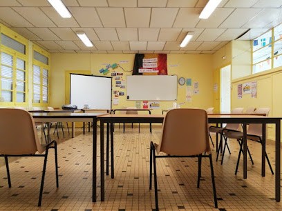 Association Maison De L'europe De Lot Et Garonne, Ecole de Langues à Agen