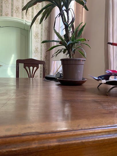 Anglais Plus, Ecole de Langues à Nice