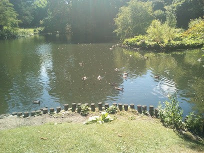 Free Association Training Organization, Ecole de Langues à Versailles