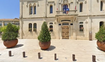 Les Petits Anglophones, Ecole de Langues  