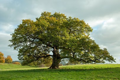 Francourt, Cours d'Anglais à Saint-Vaast-de-Longmont